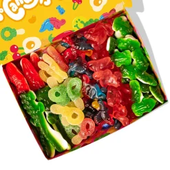 🍒🐻 Wunnie - La Candy Box-Wunnie box 